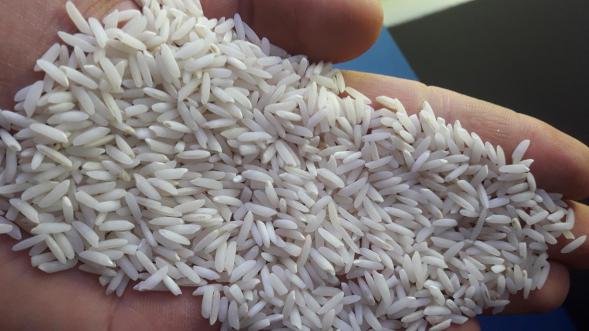 بررسی عطر انواع برنج ایرانی