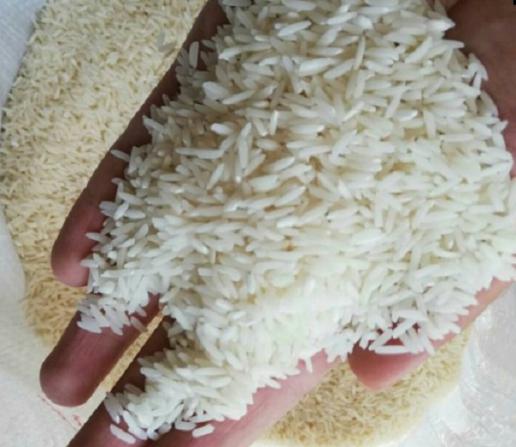 فروش استثنایی برنج عطری شمال