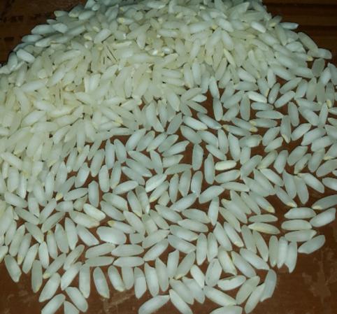 خرید انواع برنج چمپا دزفول