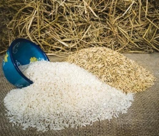 با انواع برنج در دنیا آشنا شوید