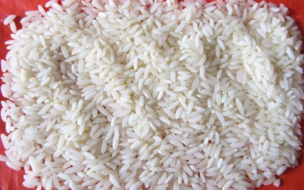 ارائه بهترین انواع  برنج ایرانی شمال