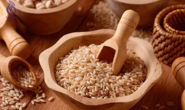 بهترین صادرکننده برنج قهوه ای اصل