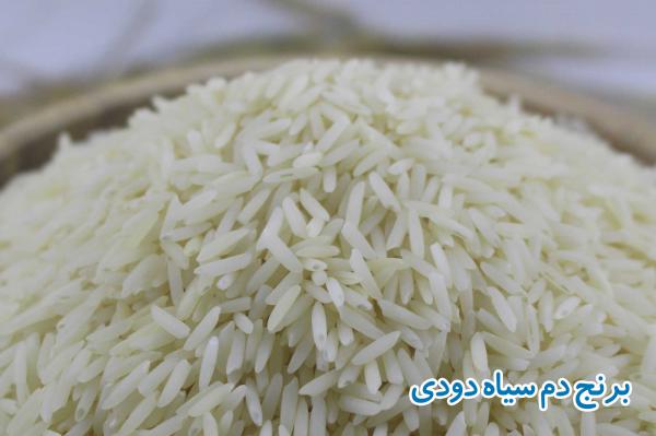 آشنایی با انواع برنج در دنیا