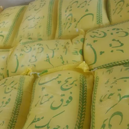 بهترین تولیدکننده برنج چمپا خوزستان