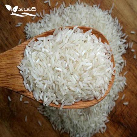 علت محبوبیت برنج فجر چیست؟