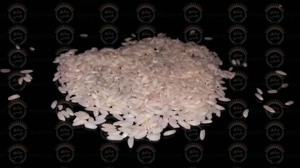 فروشندگان معتبر انواع برنج چمپا جنوب