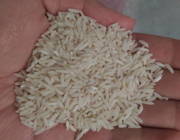 قیمت روز انواع برنج طارم خالص