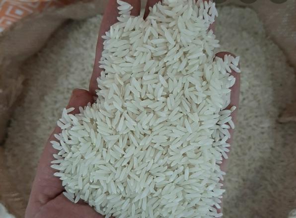 بهترین تولیدکنندگان برنج شمال درجه یک