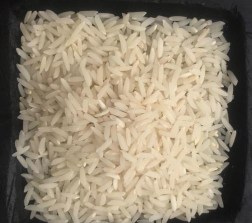 قوی ترین ترفند برای از بین بردن حشره برنج