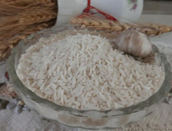 مازندران مهد تولید انواع برنج