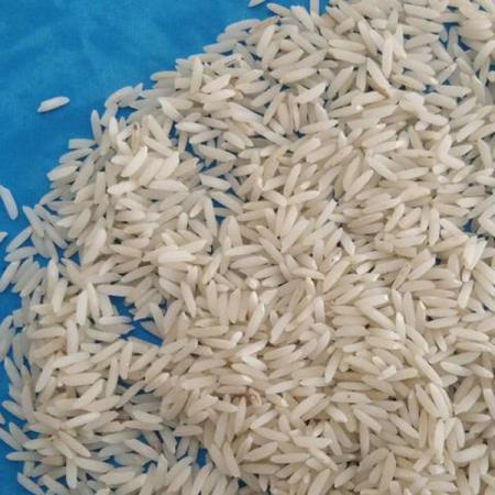 نمایندگی عرضه انواع برنج شیرودی گیلان