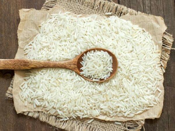 مزایا خرید عمده انواع برنج هاشمی سفید