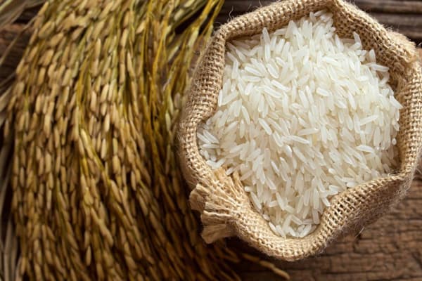 درباره برنج سید