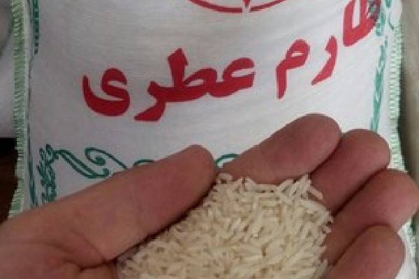 ویژگی‌های اقلیمی که به کشت اول برنج این منطقه منجر می‌شود