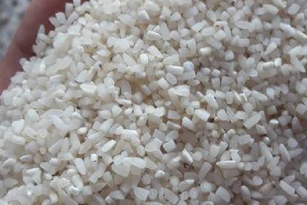 کاهش مصرف آب با برنج نیم دانه طارم گلستان