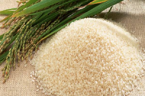 برنج نیم دانه طارم محلی