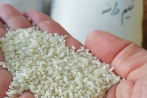 عوامل کشاورزی و تکنولوژی در تغییرات قیمت