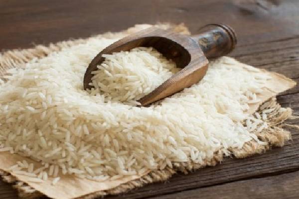 رونق صادرات برنج خزر: تأثیرگذاری بر اقتصاد منطقه