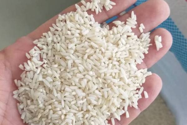 دانه‌های کوچک و فشرده