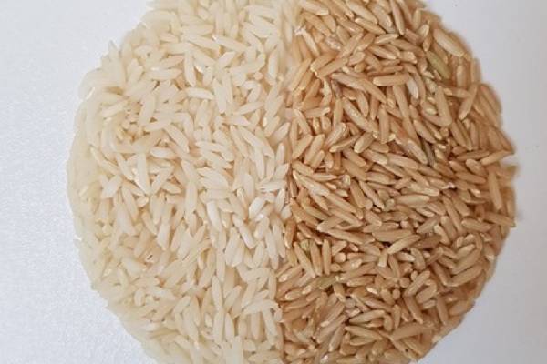 آشنایی با خصوصیات و کاربردهای برنج نیم دانه قهوهای در آشپزی