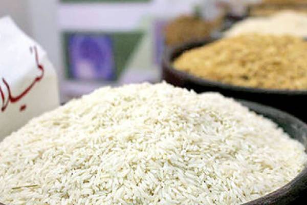 صادرات برنج طارم امانی: جلب توجه مشتریان جهانی با ویژگی‌های منحصر به فرد