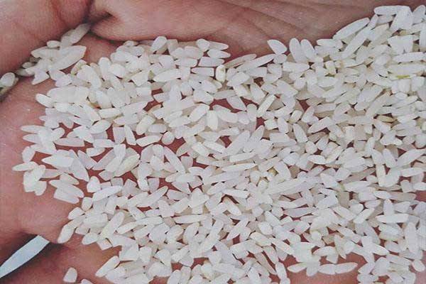 عطر و طعم برنج نیم دانه طارم امانی