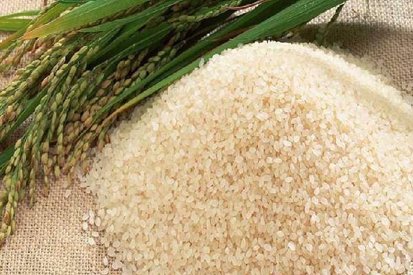 مزایا برنج نیم دانه طارم