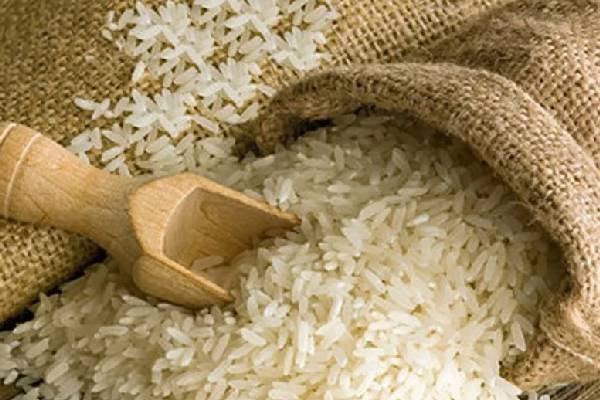 خرید عمده برنج خزر درجه یک