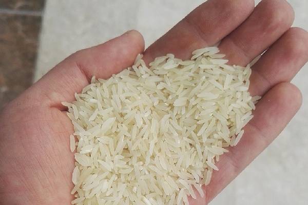 سازگاری با فناوری