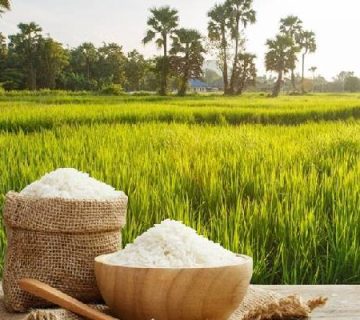 قیمت برنج طارم هاشمی