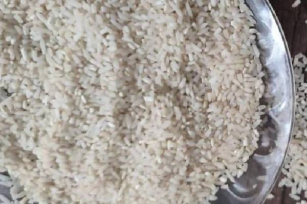 مقاومت در برابر بیماری‌ها و آفات