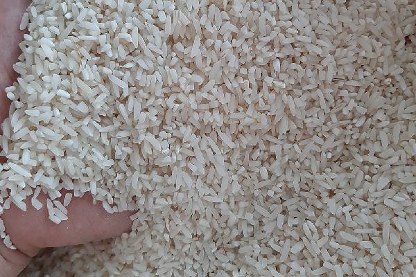 برنج نیم دانه طارم دم‌سیاه در آشپزخانه: چگونه می‌توانید از آن استفاده کنید؟