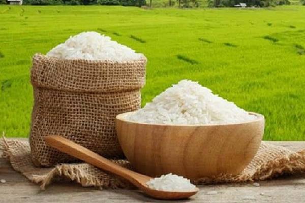 تأثیر شرایط هواشناسی بر قیمت برنج