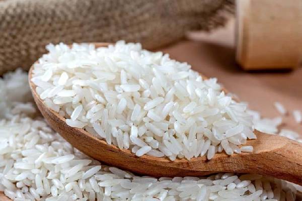 خرید عمده برنج طارم امانی